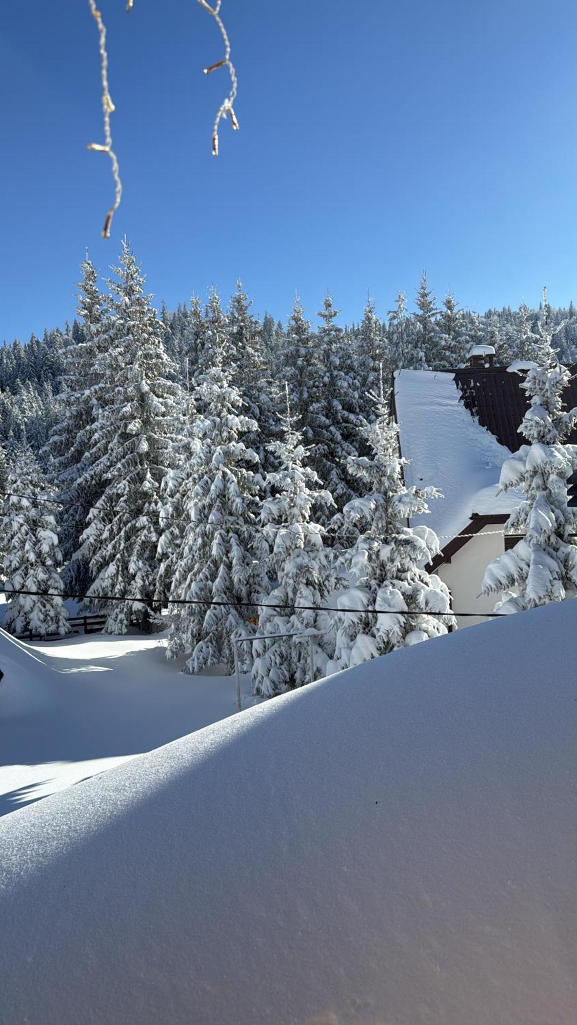 Guest House Alpha Ski Camp Jahorina Luaran gambar